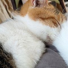 148位のイメージ