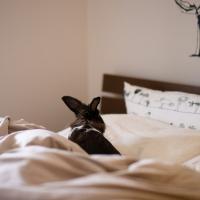 47位のイメージ