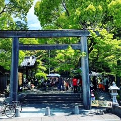 49位のイメージ