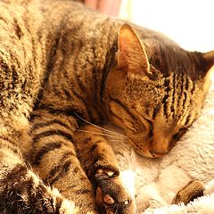 117位のイメージ