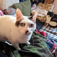 13位のイメージ