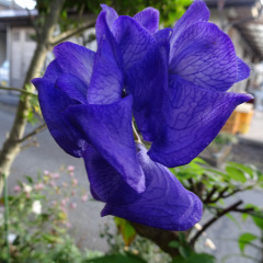 20位のイメージ