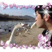 178位のイメージ