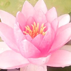 108位のイメージ