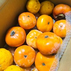 113位のイメージ