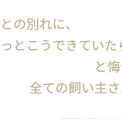 107位のイメージ