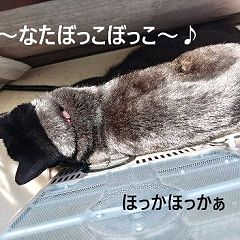 29位のイメージ