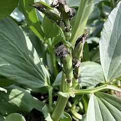 30位のイメージ