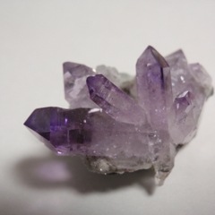 72位のイメージ