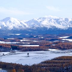 48位のイメージ