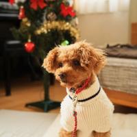 186位のイメージ