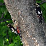 29位のイメージ