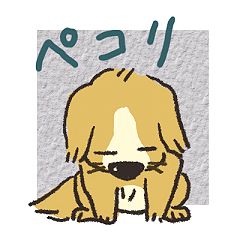 19位のイメージ