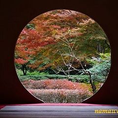 12位のイメージ