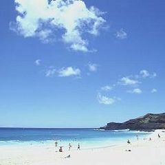 96位のイメージ