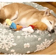 1091位のイメージ