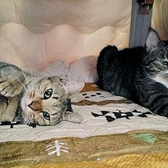 28位のイメージ