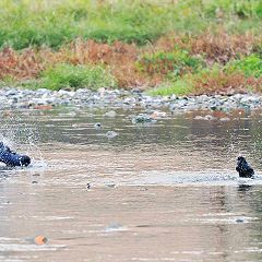 128位のイメージ