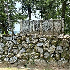 195位のイメージ