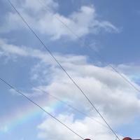 164位のイメージ