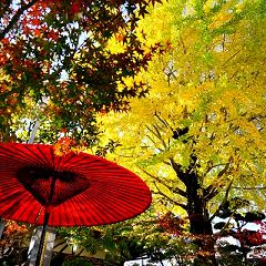 48位のイメージ