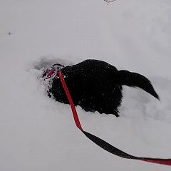 16位のイメージ