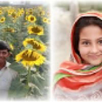 135位のイメージ