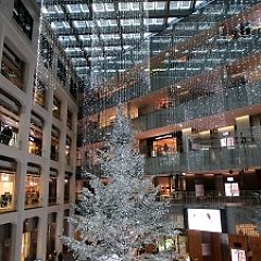 41位のイメージ