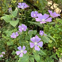 160位のイメージ