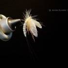 21位のイメージ