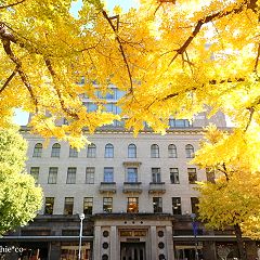 29位のイメージ